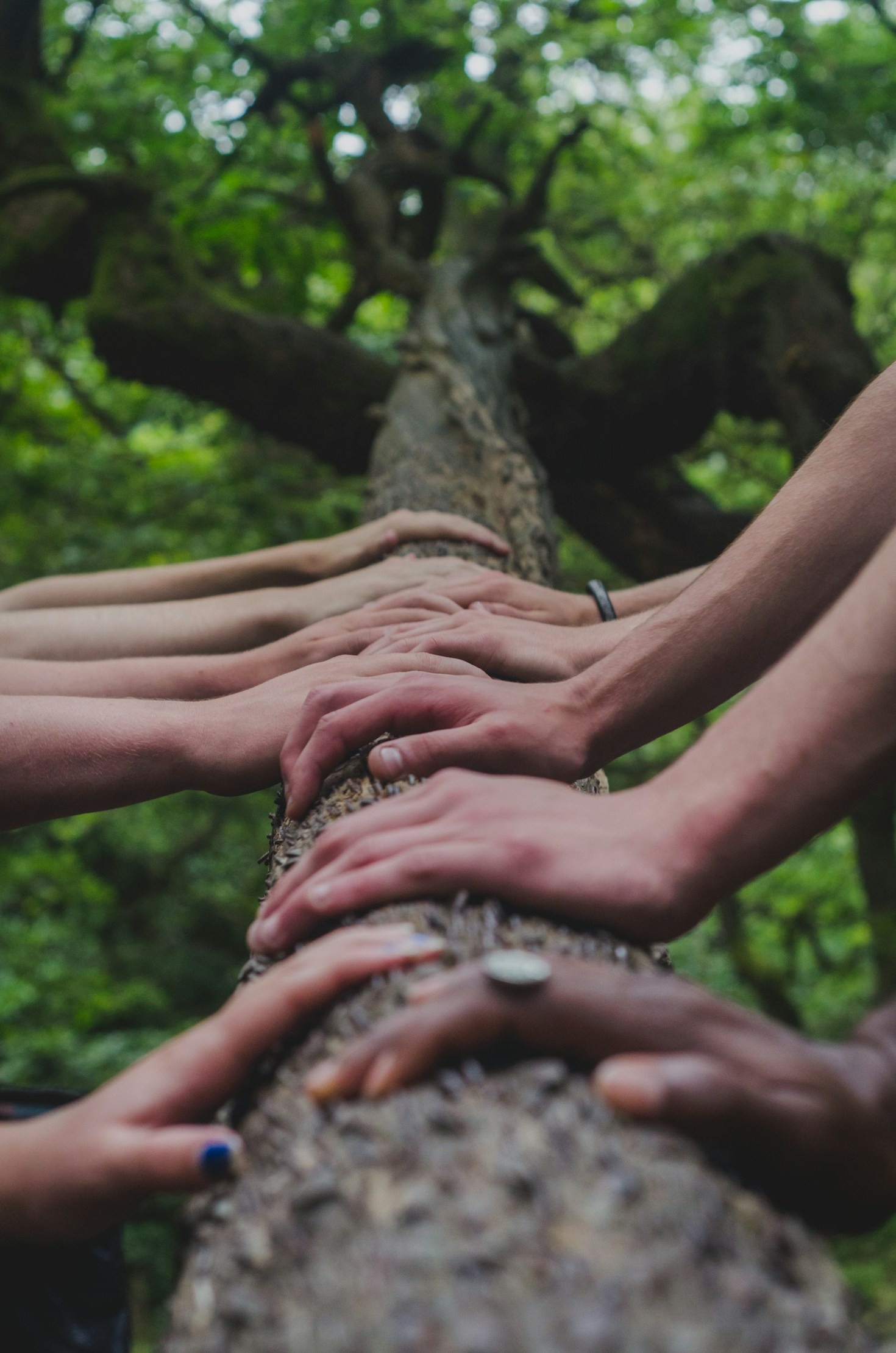 How Ceremonial Fellowships Foster Community Growth