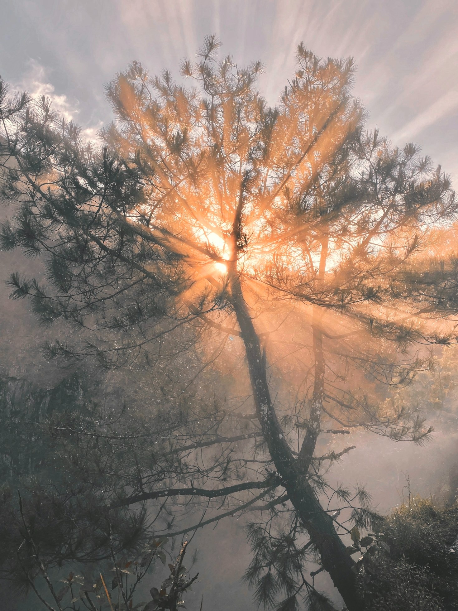 Discovering Spiritual Harmony Through Earth Reverence